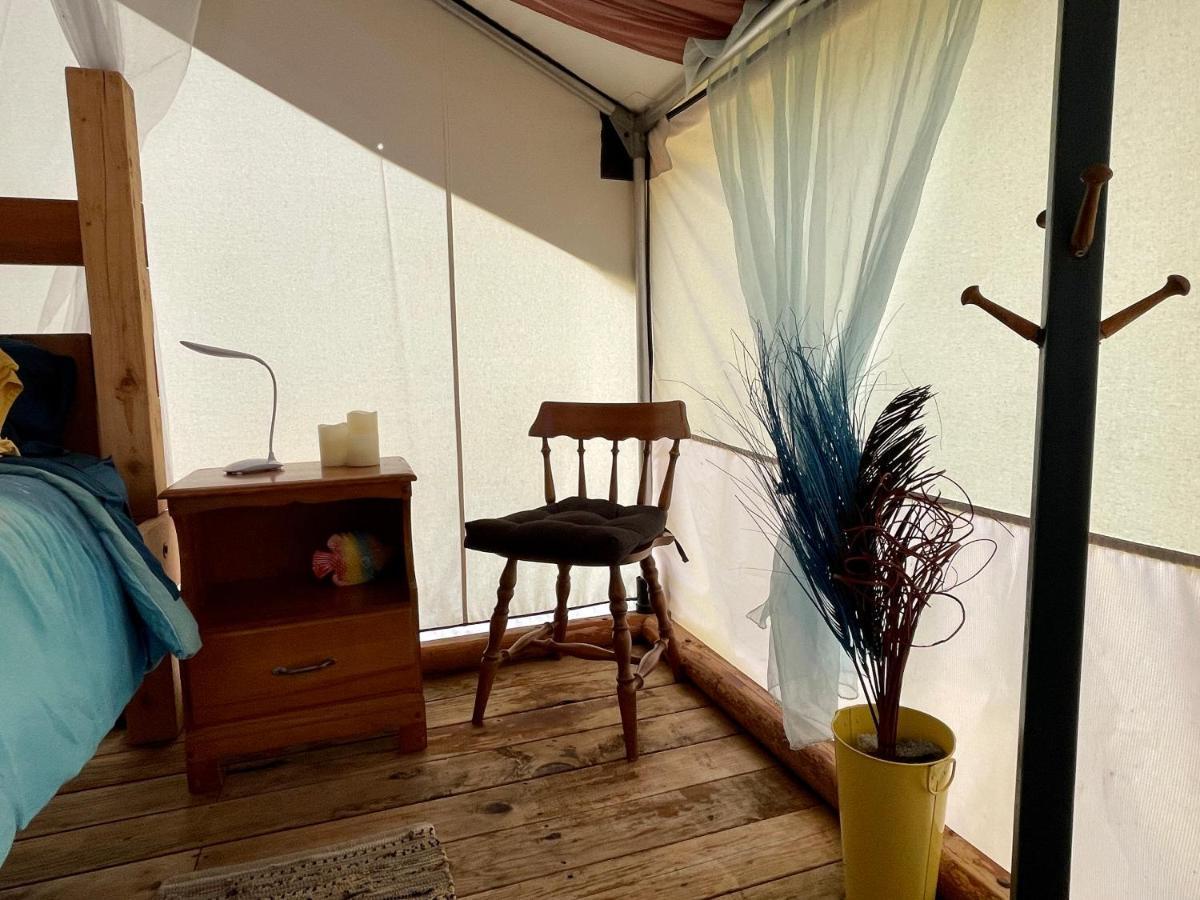 So Damn Lucky Glamping Hotel Ucluelet Exterior foto